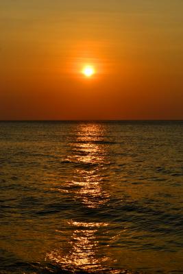 Прикрепленное изображение: _DSC1065.JPG